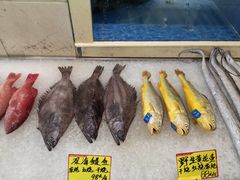 -双井轩(双井店)