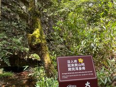 -九华秋浦胜境大王洞风景区