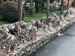 -东芭乐园