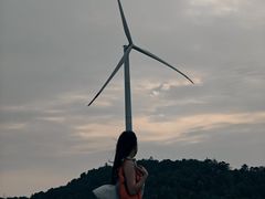 -汕尾风车岛