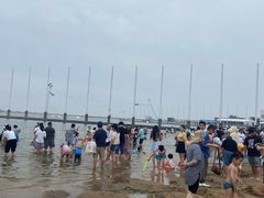 -碧海金沙