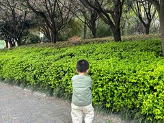 -木塔寺遗址生态公园