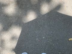 -四川大学(望江校区)