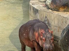-新疆天山野生动物园