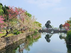 -无锡蠡湖国家湿地公园-蠡园