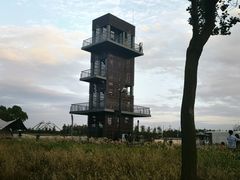 -春花秋色城市公园