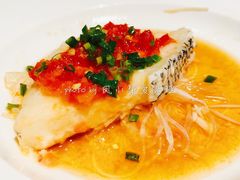 剁椒粉丝蒸银鳕鱼-三号黄浦会Canton Table