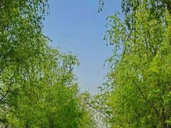 -西安祥峪森林公园