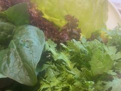-蝎王府羊蝎子(北大地店)
