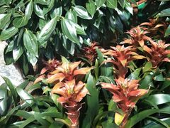 -草原塞蛮羊火锅城(港湾店)