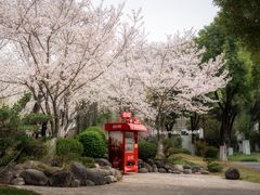 -堤角公园