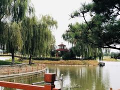 -白洋淀景区