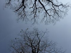 -南岳衡山风景名胜区-南岳大庙