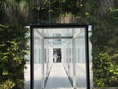 -金泽21世纪美术馆
