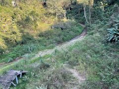 -西双版纳原始森林公园