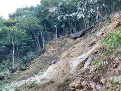 -梧桐山风景名胜区