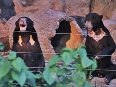 -清迈夜间动物园