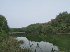 -白马涧龙池景区