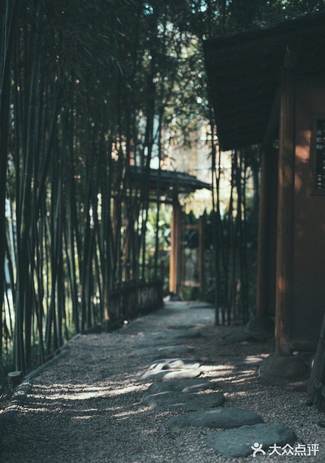 重庆旅游✈️超好拍的小众景点