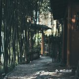 重庆旅游✈️超好拍的小众景点