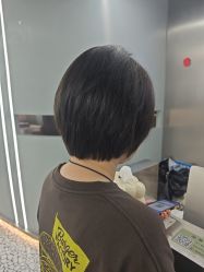 -天使之手plus