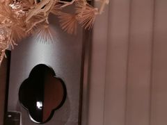 -新紫霞养生·影院足道·SPA(金山区店)