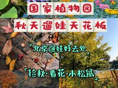 -国家植物园南园