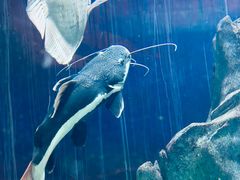 -常州海昌海洋探索馆