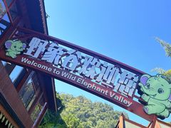 -野象谷景区