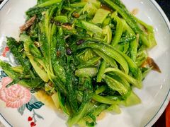 -丰食农家乐