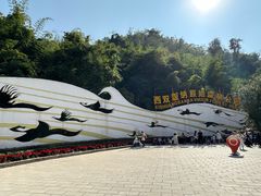 -西双版纳原始森林公园