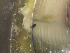 -潮发潮汕牛肉店(龙洞店)