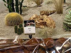 -OUR Bakery(SKP-S店)