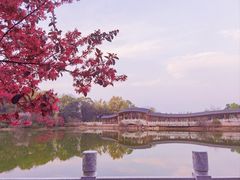 -岳麓山风景名胜区