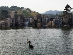 -白马涧龙池景区