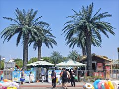 -上海玛雅海滩水公园