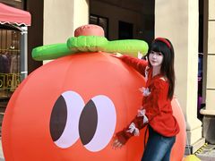 -王府井奥莱临潼小镇(临潼店)