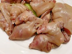 -丁老爷子苏香圆