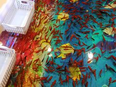 -伊藤洋华堂(温江店)