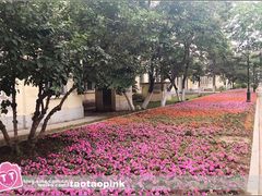 -哈尔滨师范大学(江南校区)