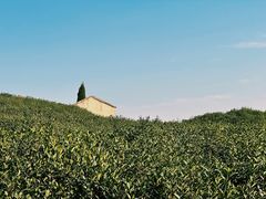 -镇江市南山风景名胜区竹林景区