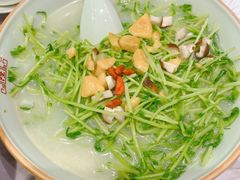 上汤豆苗-农川记&酸菜鱼四川料理(横岗荣德店)
