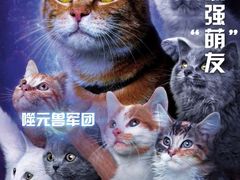 -天幕新彩云国际影城(激光巨幕店)