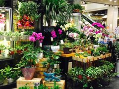 -豆豆花艺(新光天地店)