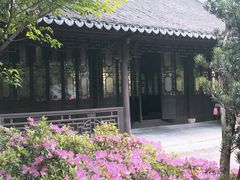 -汇龙潭