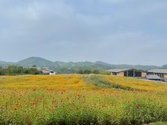 -天目湖涵田度假村