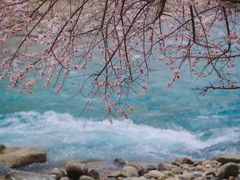 -杏花村文化旅游区