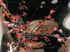 -佬肥猫(国华广场店)