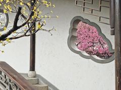 -芥子园