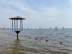 -碧海金沙